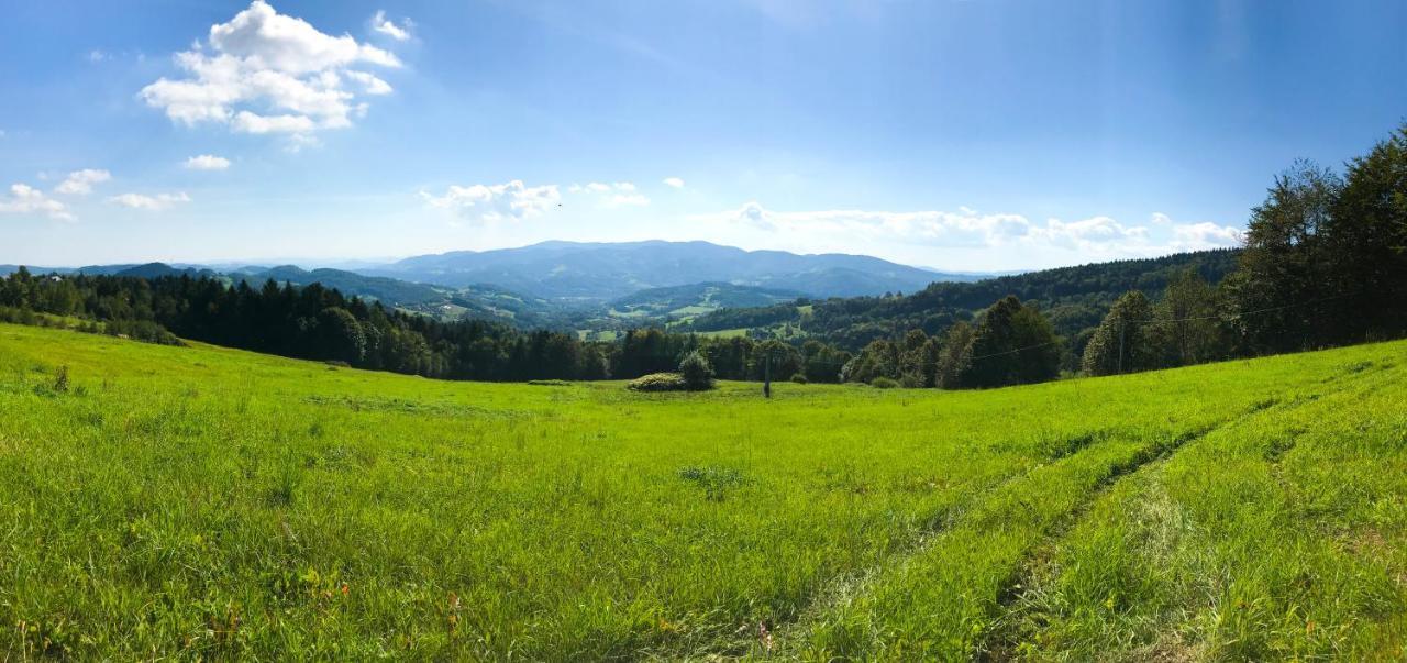 Osada Wasylowka Laskowa  Buitenkant foto